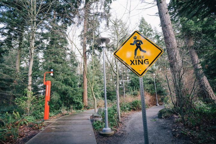 Geek Xing